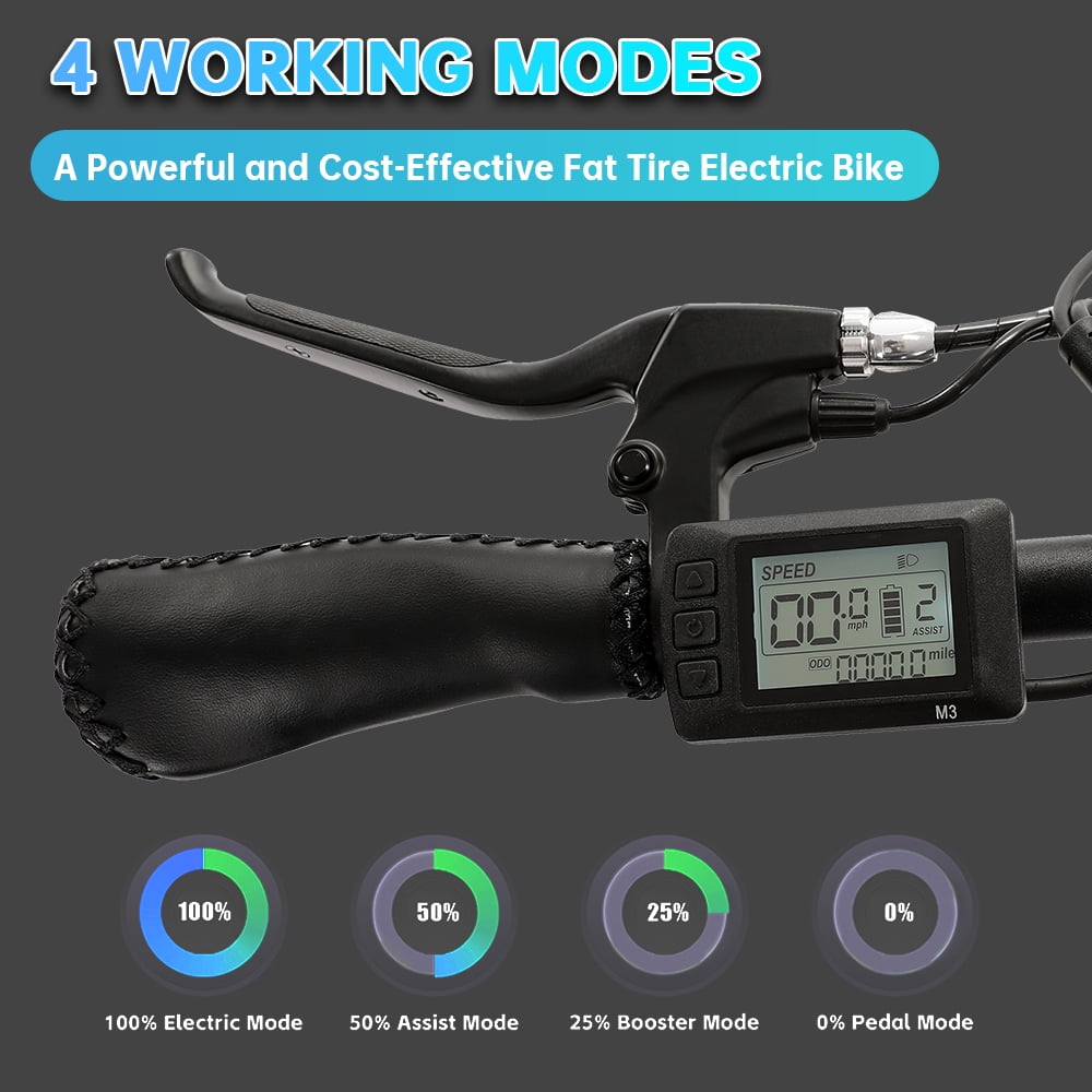 ECOTRIC 500 W 36 V E-Ride Foldable 20“ Electric Bicycle Fat Tire Removable Battery 7 Speed Children A-E516646
